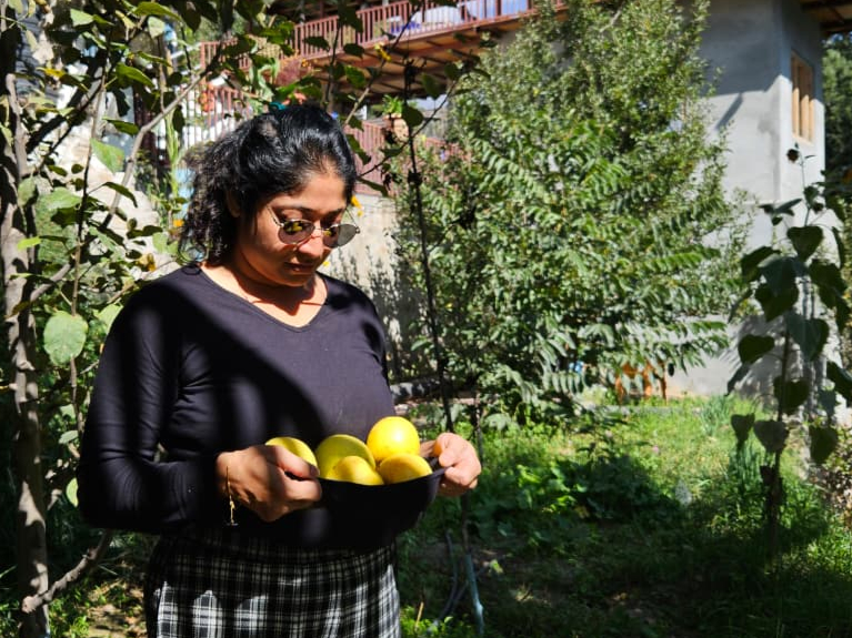 Apple orchards in Kinnaur – Kalpa Sangla Chitkul travel