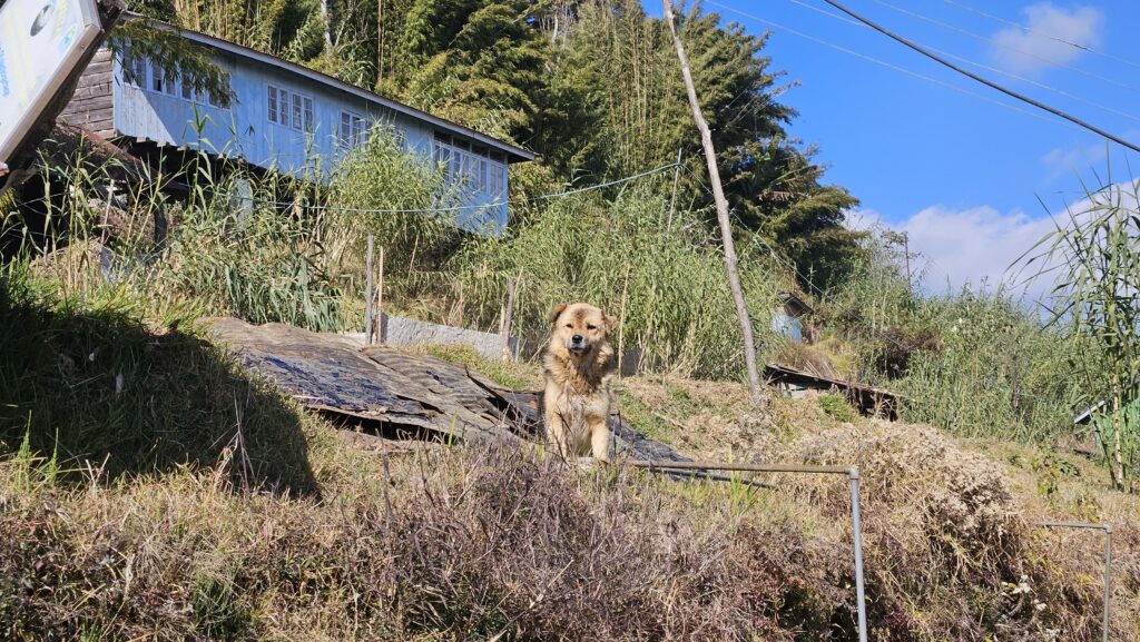 the cutest host at rammam