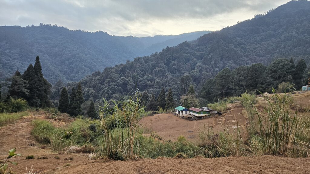 Samanden - the golden plate