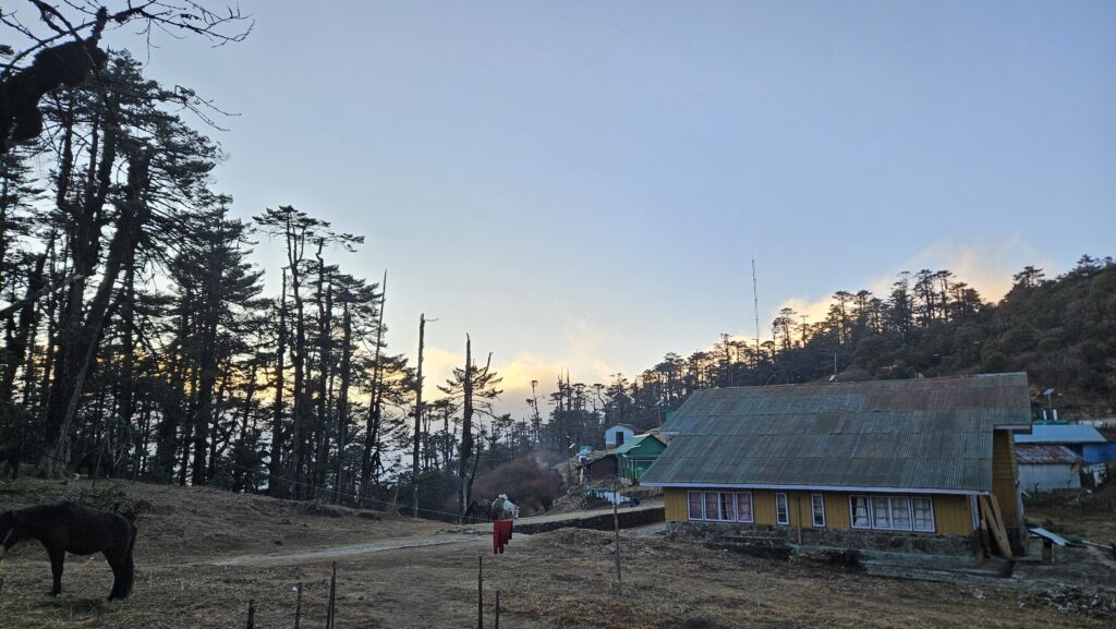 molley - the teahouse campsite