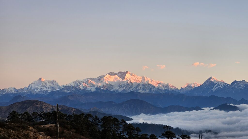 the pink glow on the sleeping buddha