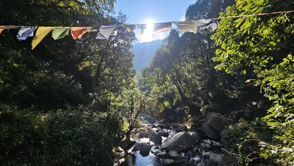 a riverside on the way back to sepi
