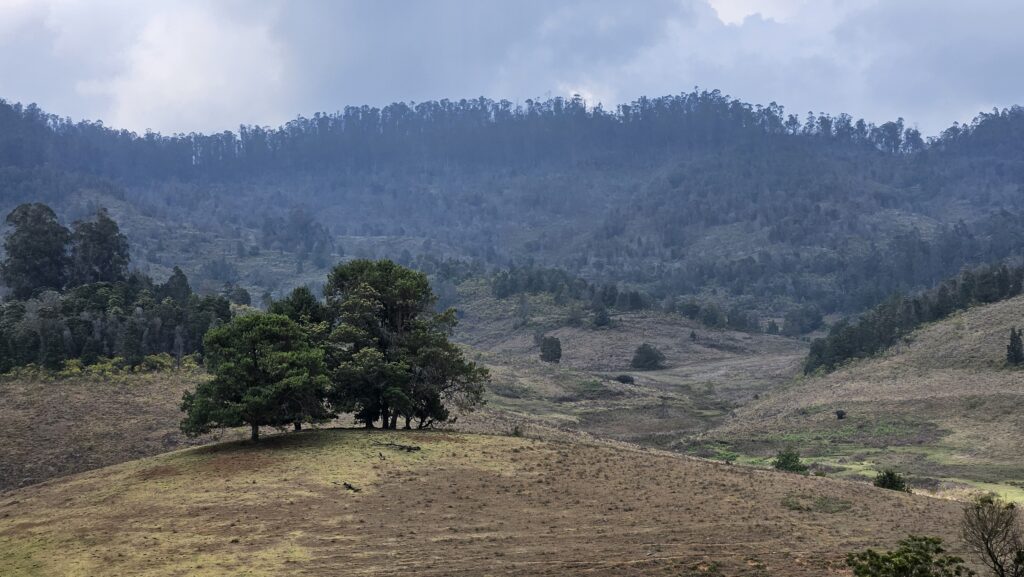 pre-monsoon terrain - weekend trips from Bangalore