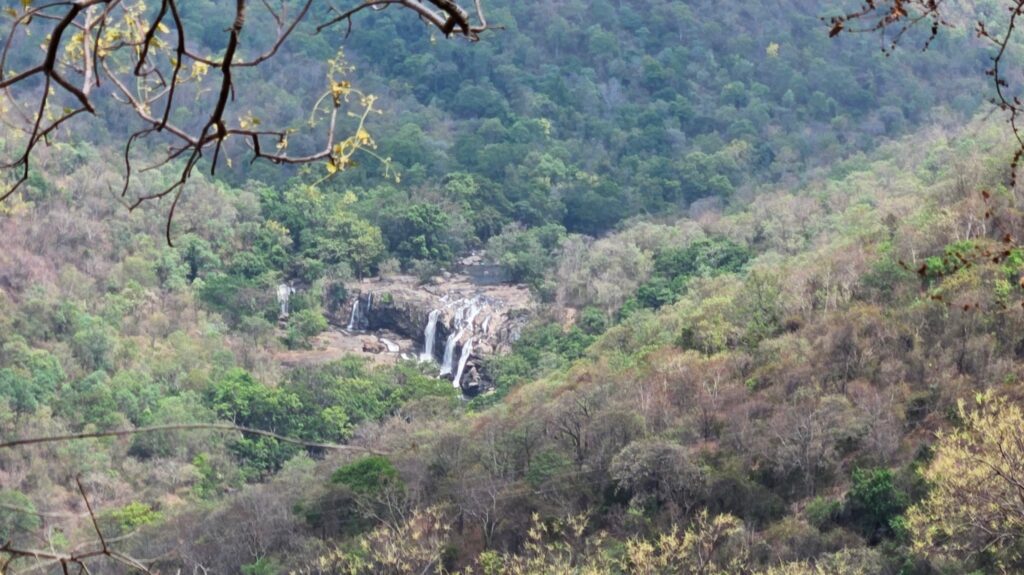The waterfall I couldnt reach - Munnar bike trip
