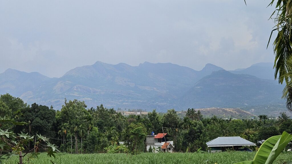 Marayoor - Munnar bike trip