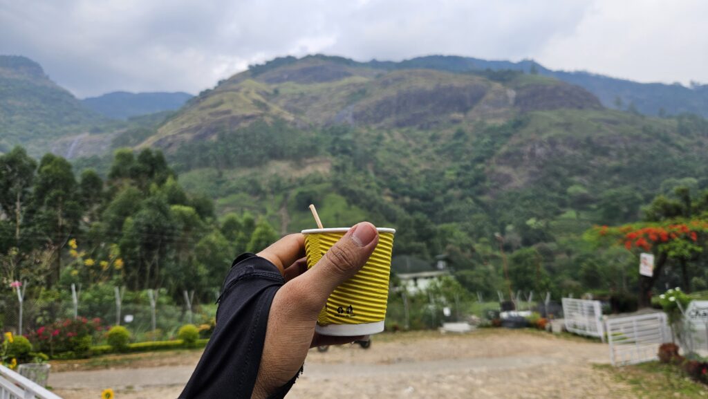 Tea experience - Munnar bike trip
