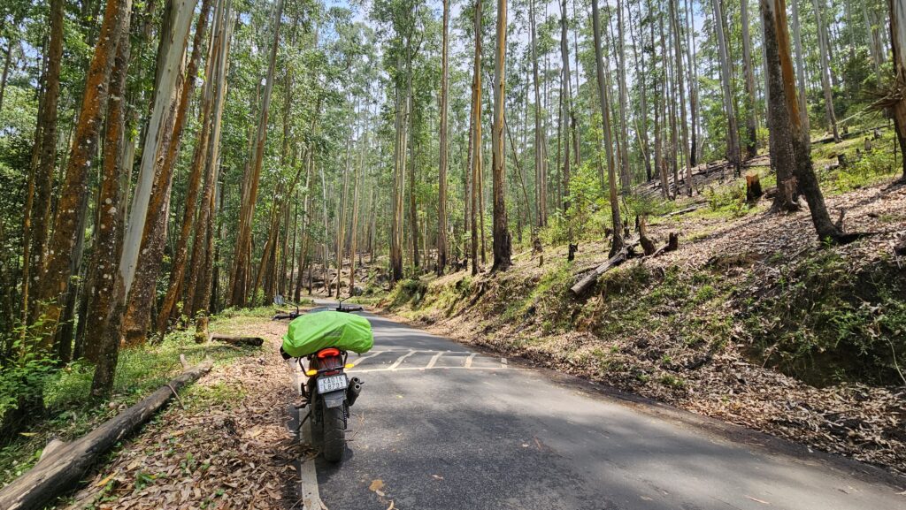 Shola Forests - Munnar bike trip