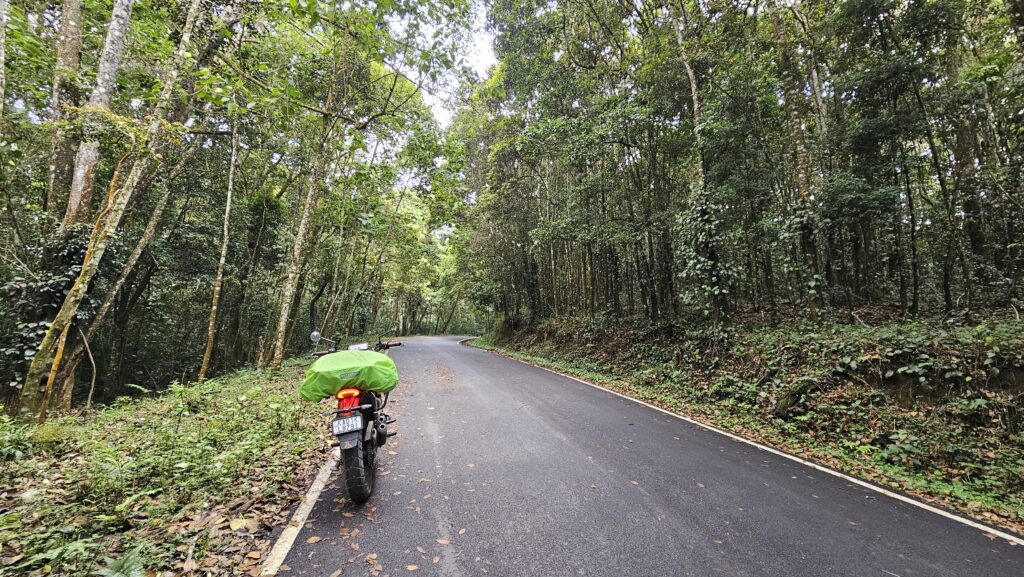 Shola Forests - Munnar bike trip
