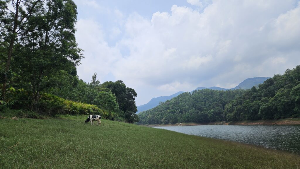 Anayirankal Dam - Munnar bike trip