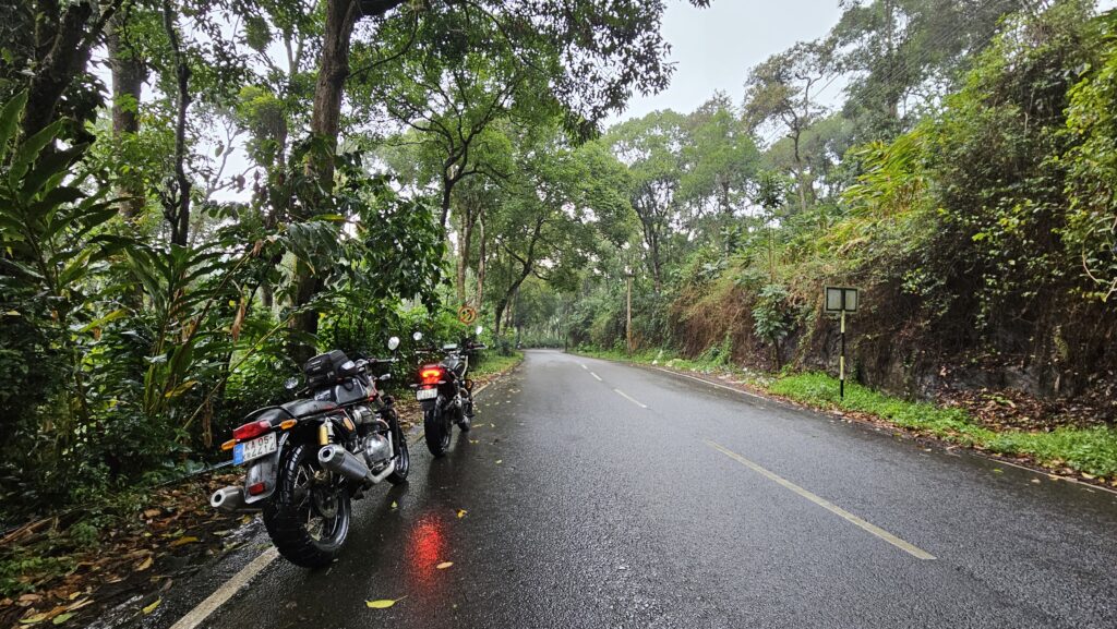 The rainforests to Rajakkad - Munnar bike trip